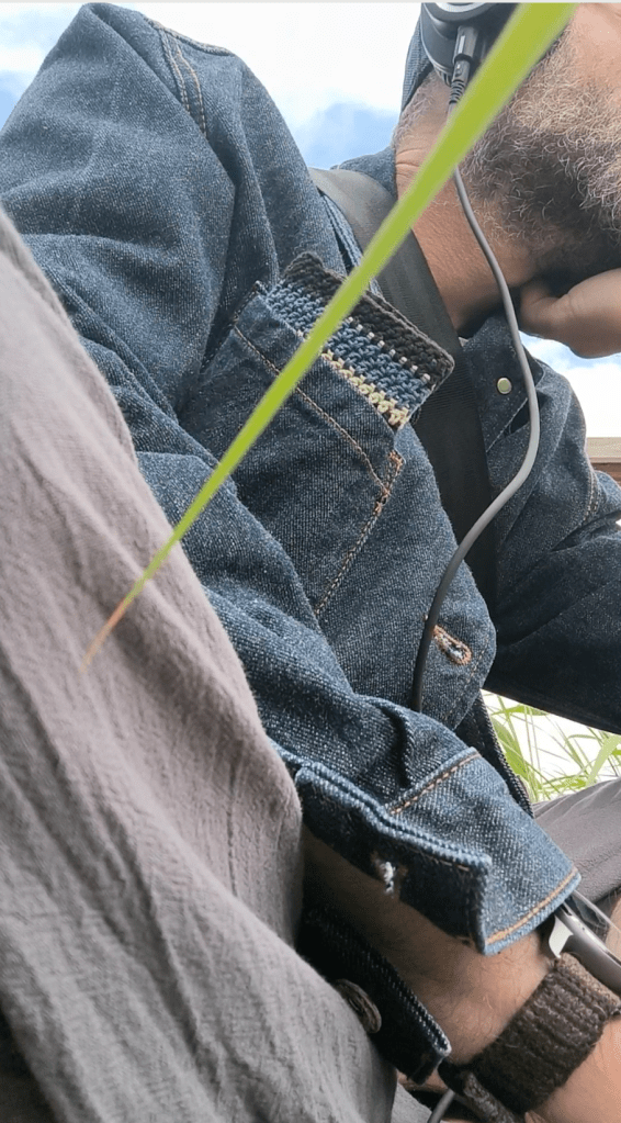 me listening to the song of the european reed warbler