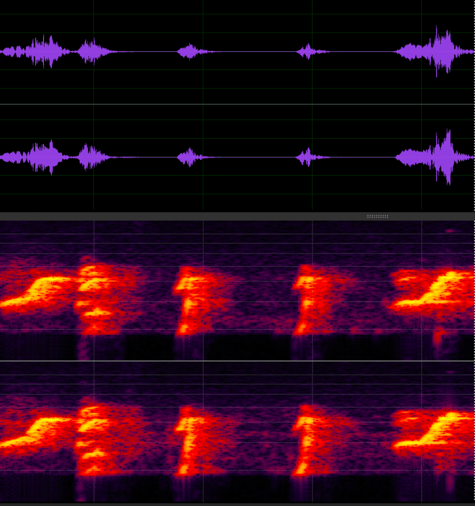 Waveform and spectral frequencies of my synthesised version of the European Reed Warbler's singing.